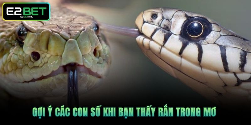 Mơ Thấy Rắn - Ý Nghĩa Tâm Linh Ẩn Giấu Đằng Sau Cùng E2BET 3 Gợi ý các con số khi bạn thấy rắn trong mơ