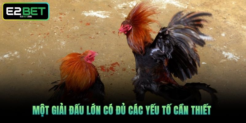 Một giải đấu lớn có đủ các yếu tố cần thiết 