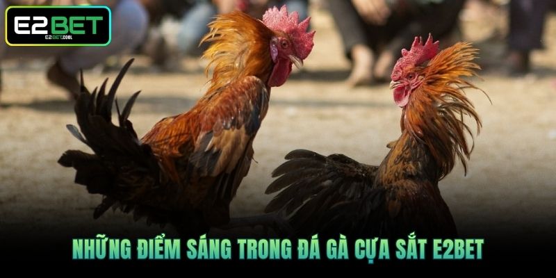 Đá Gà Cựa Sắt E2BET | Trận Chiến Rực Lửa Tại Đấu Trường 2 Những điểm sáng trong Đá gà cựa sắt E2BET