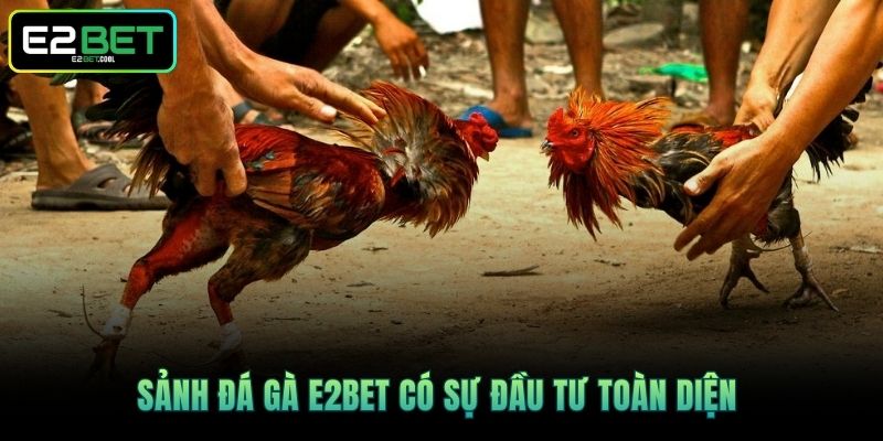 Sảnh Đá Gà E2BET có sự đầu tư toàn diện 